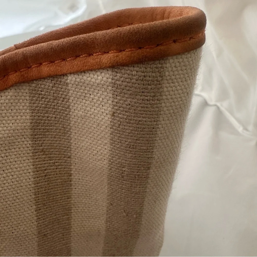 Treesje Beige Stripe Canvas Snakeskin Print Handbag Satchel Purse